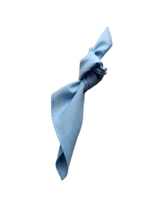 SERWETKI BŁĘKITNE 45 CM